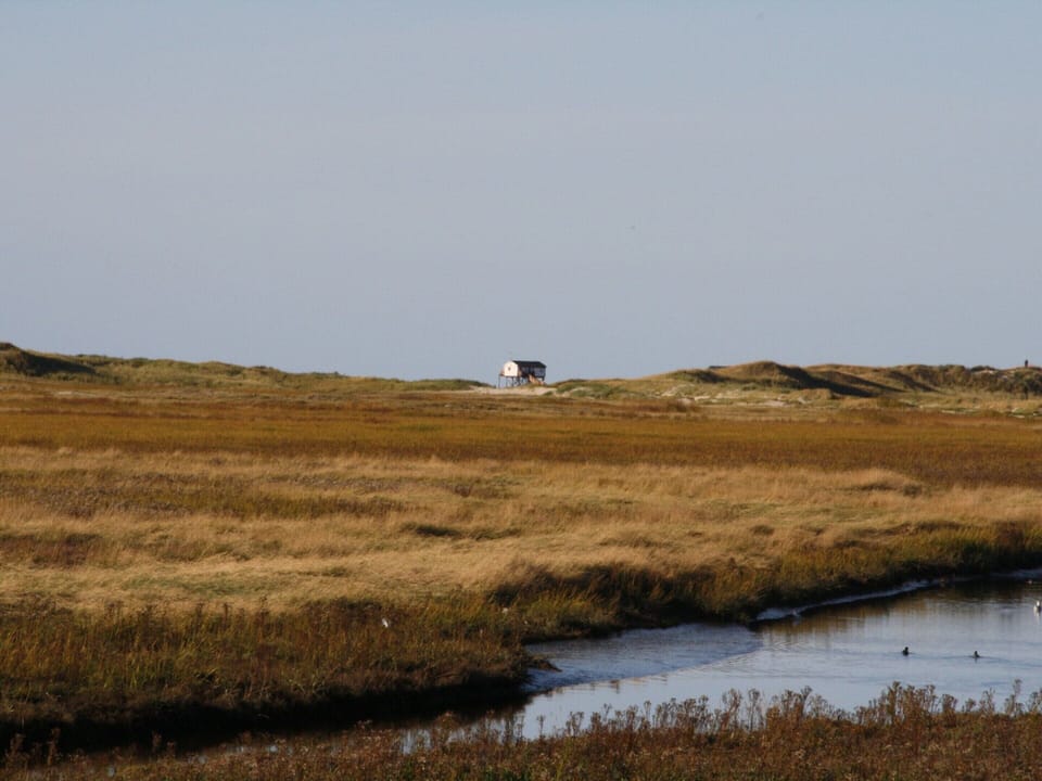 House | View from property