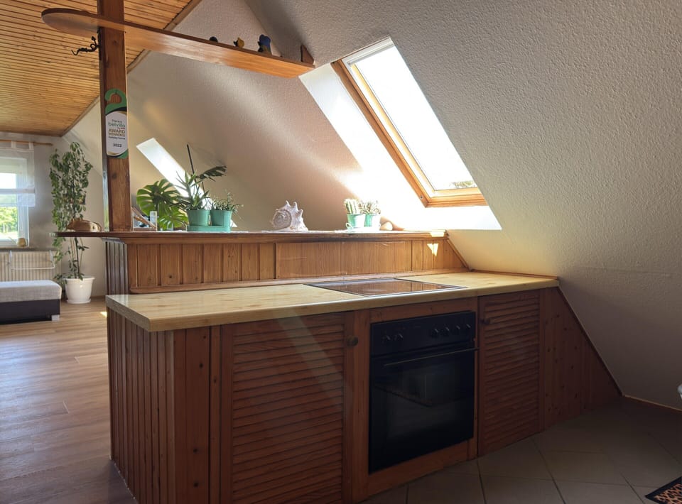 Apartment | Private kitchen | Electric kettle, toaster, highchair