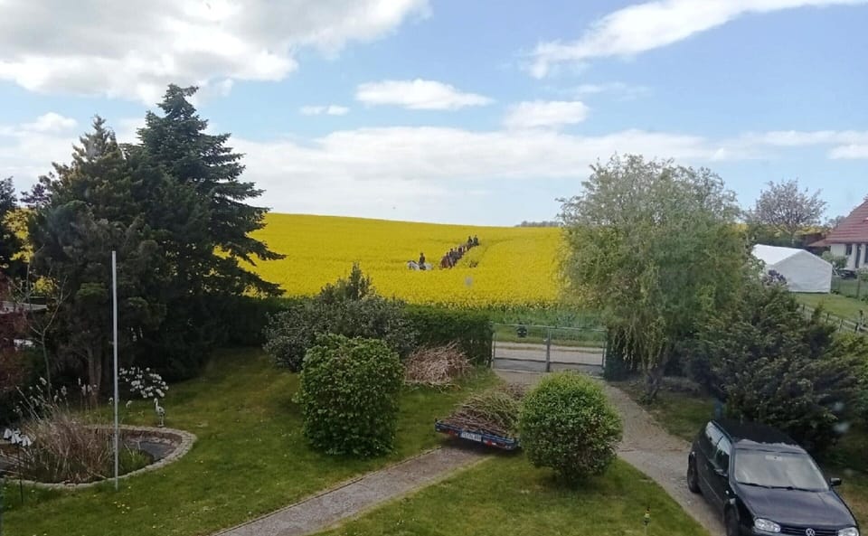 House | View from property
