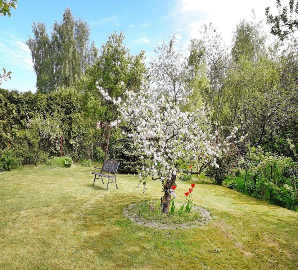 Apartment | Garden