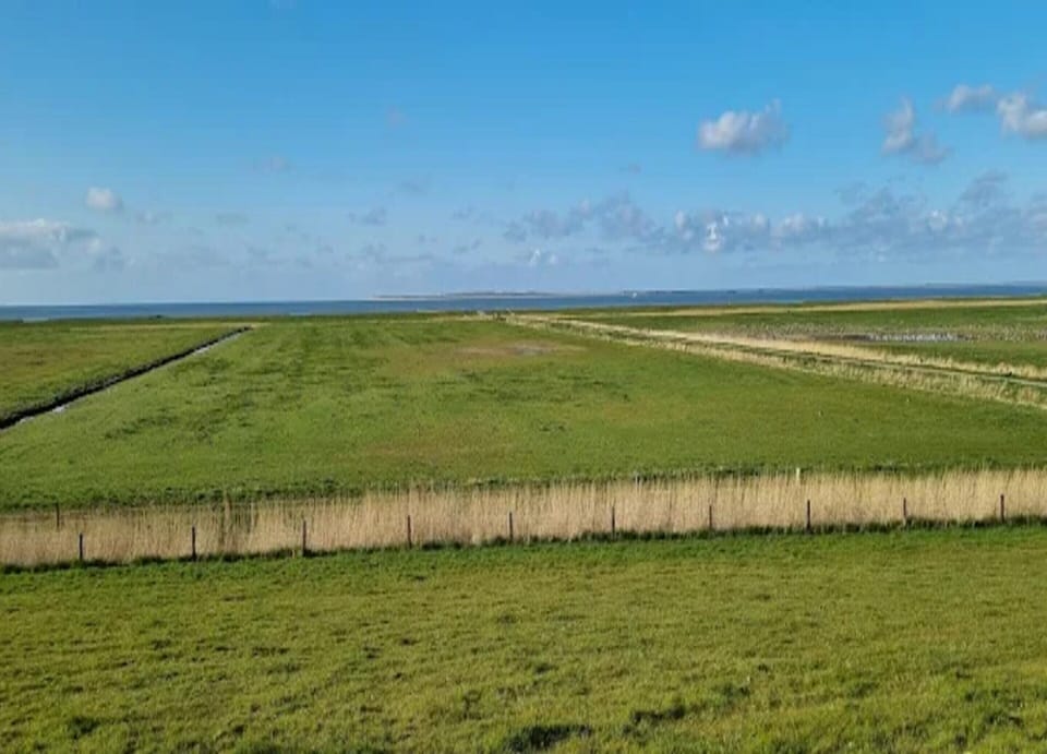 House | View from property