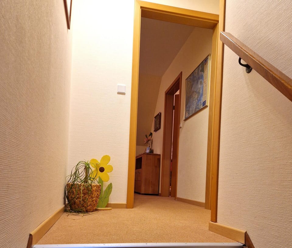 Apartment | Interior