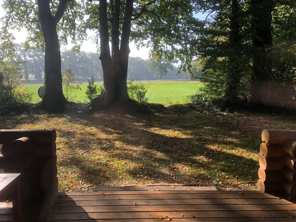House | View from property