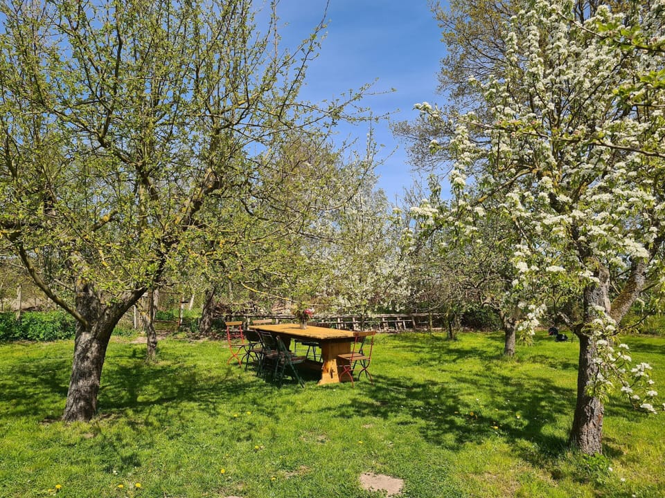 Apartment | Garden