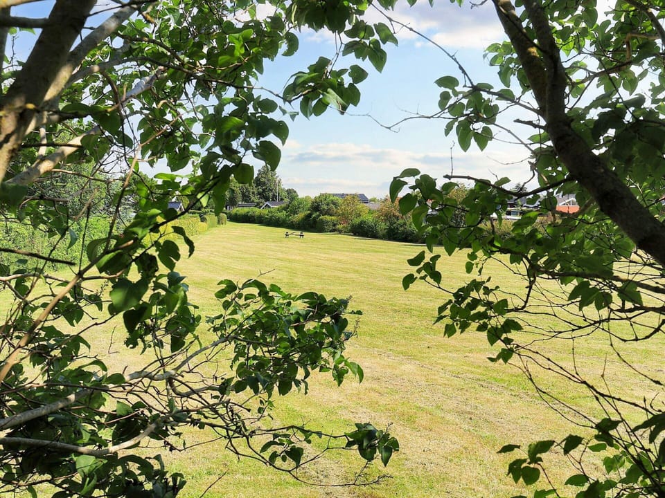 House | View from property