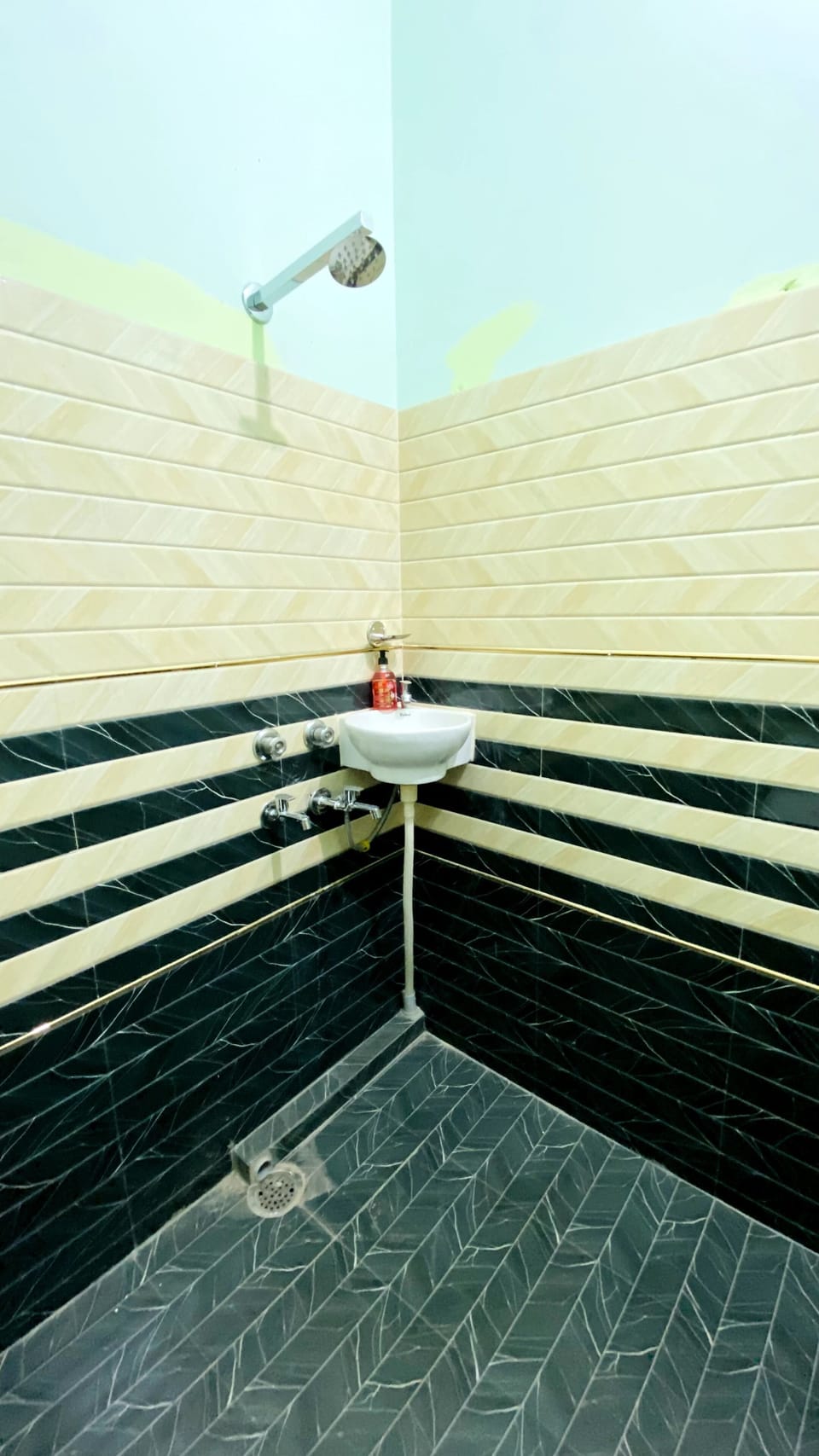 Deluxe Room | Bathroom | Towels, soap, toilet paper
