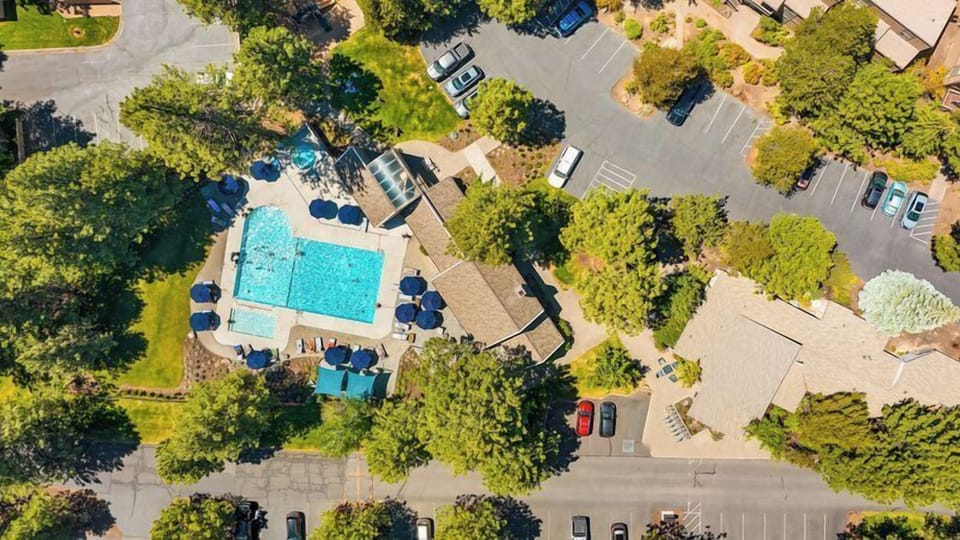 Seasonal outdoor pool, pool umbrellas, sun loungers
