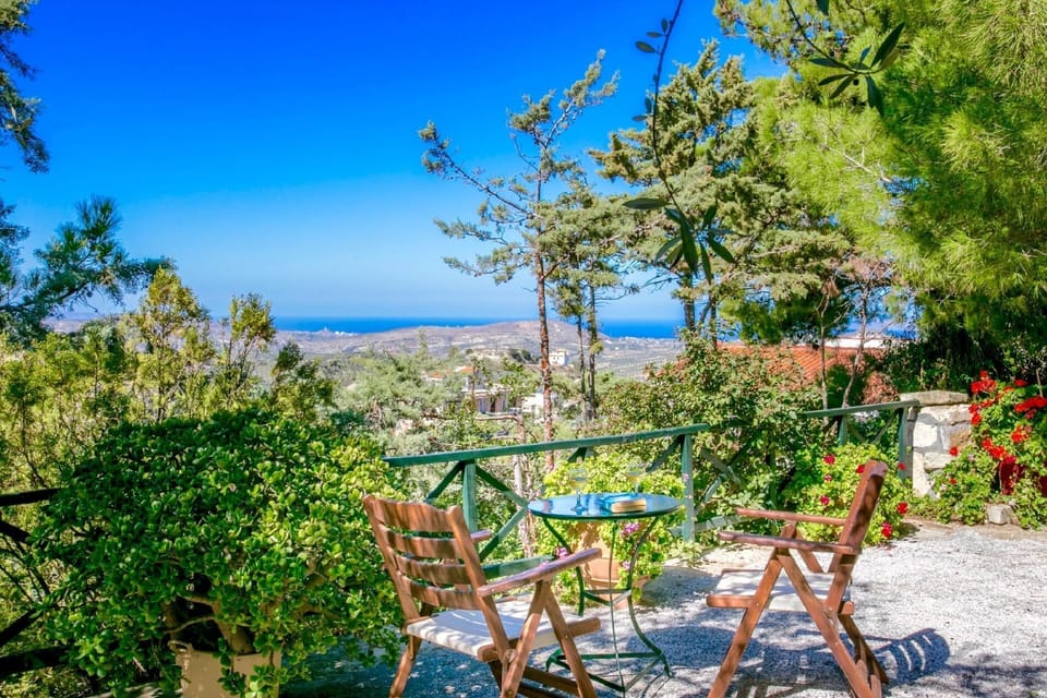 Panoramic View from the balcony