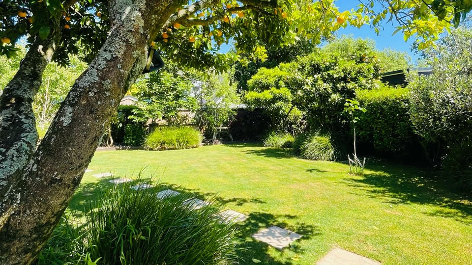 View of pathway to cabin and main back garden area with fruit trees (Summer)