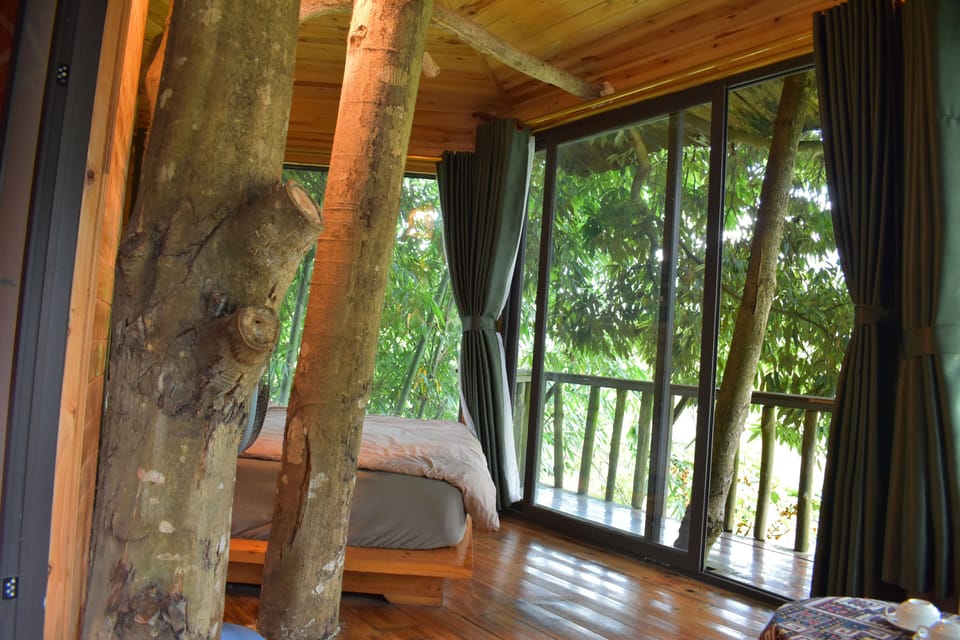 Tree House, Mountain View | Individually furnished, free WiFi