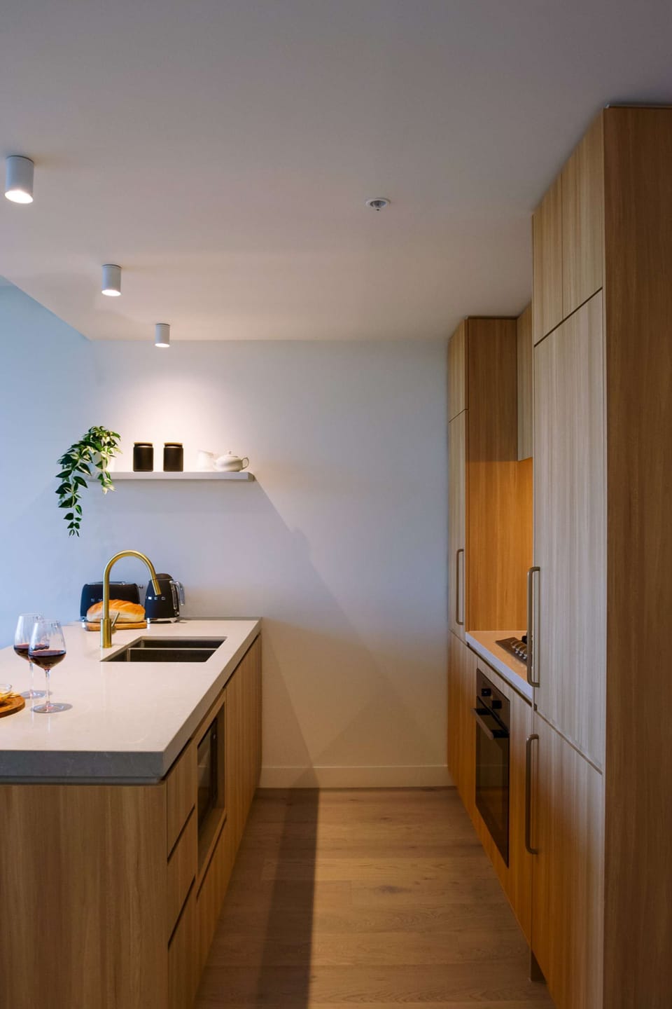 Modern fully equipped kitchen with gas stove, oven, fridge freezer, dishwasher, sandwich press and rice cooker