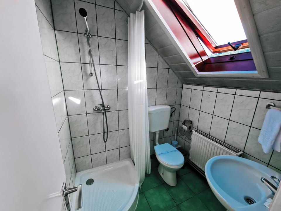 Double or Twin Room, Mountain View | Bathroom | Shower, towels, soap, shampoo