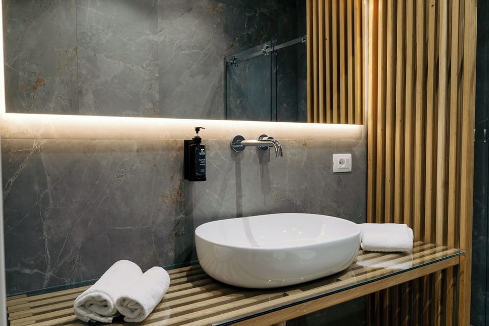 Shower, hair dryer, bidet, towels