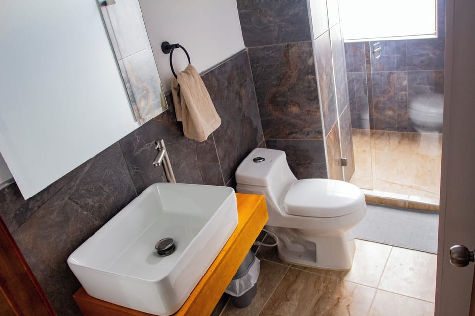 Double Room + Single Sofa Bed | Bathroom | Shower, towels, soap, shampoo