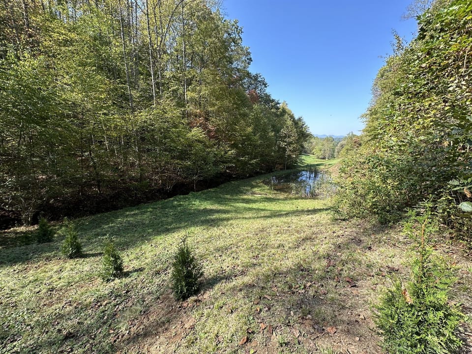 Enjoy a walk down to the pond with a beautiful mountain backdrop. 