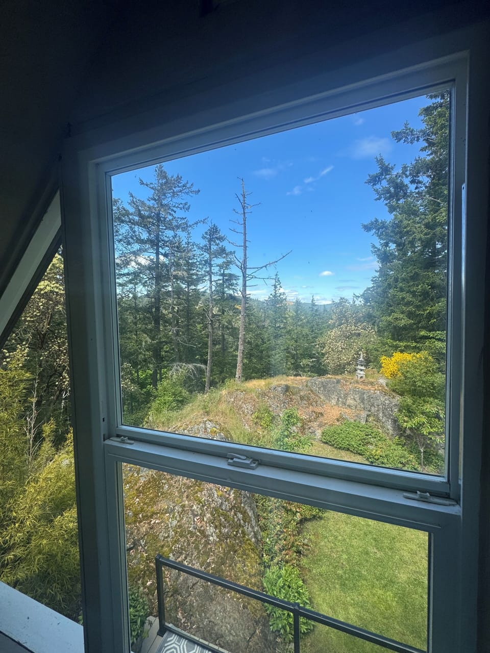 View from guest house