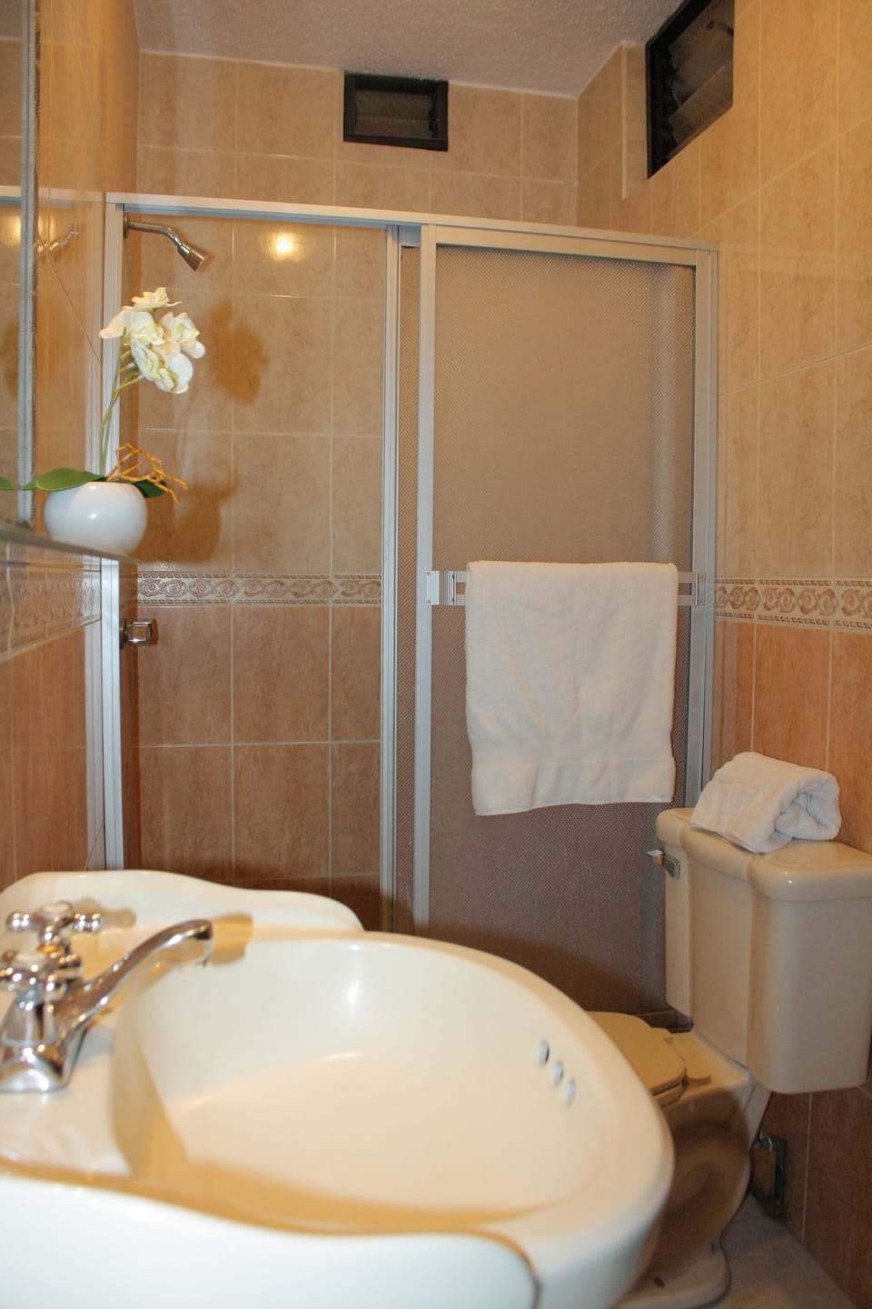 Deluxe Apartment, 3 Bedrooms, City View | Bathroom | Shower, hair dryer, towels, soap