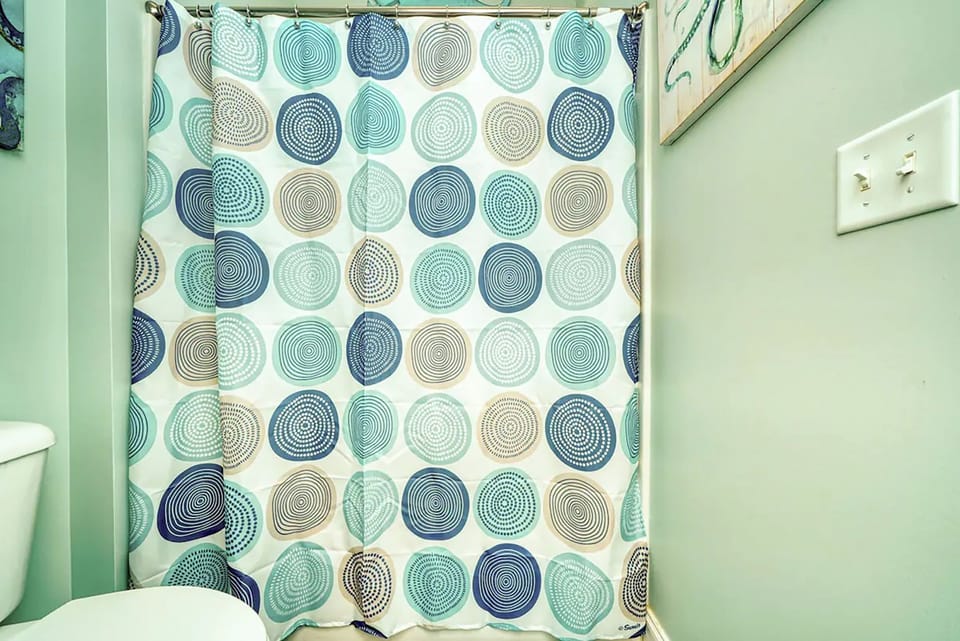 Guest bathroom