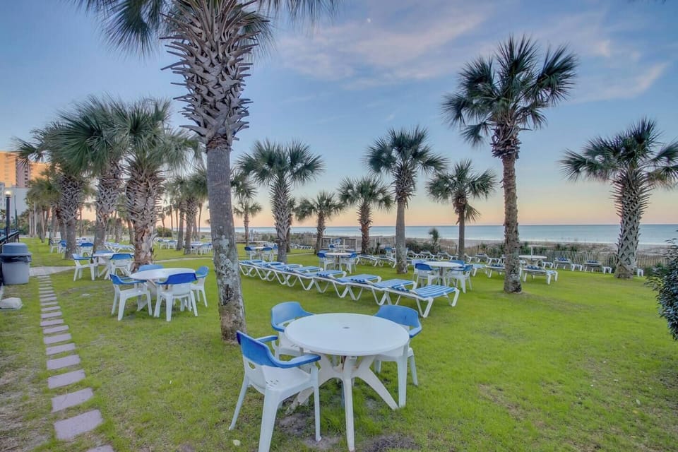 Embrace the beauty of nature in our resort's outdoor area by the sea!