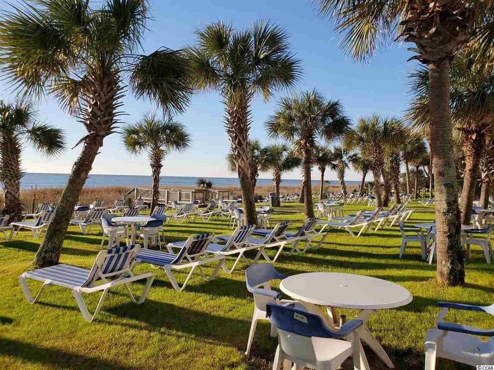 Embrace the beauty of nature in our resort's outdoor area by the sea!