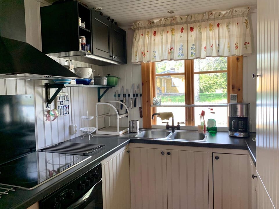 House | Private kitchen | Dishwasher