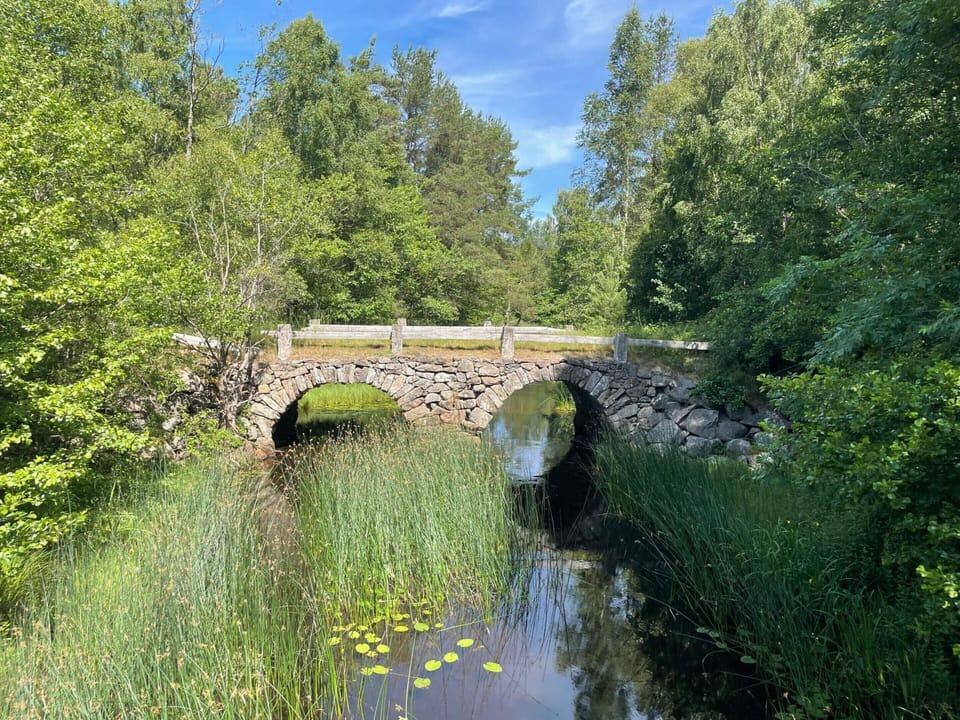House | Miscellaneous