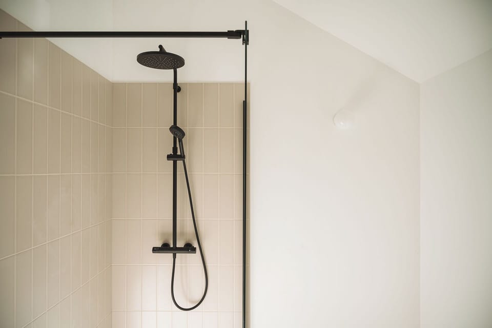 Double or Twin Room | Bathroom | Shower, hair dryer, towels, soap
