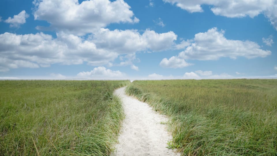 Path to beach