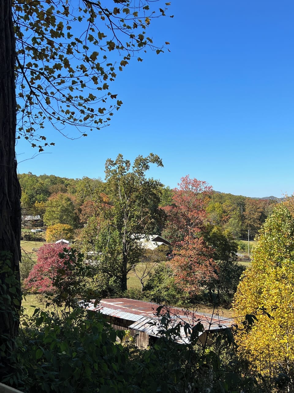 Fall at Black Bear Acres