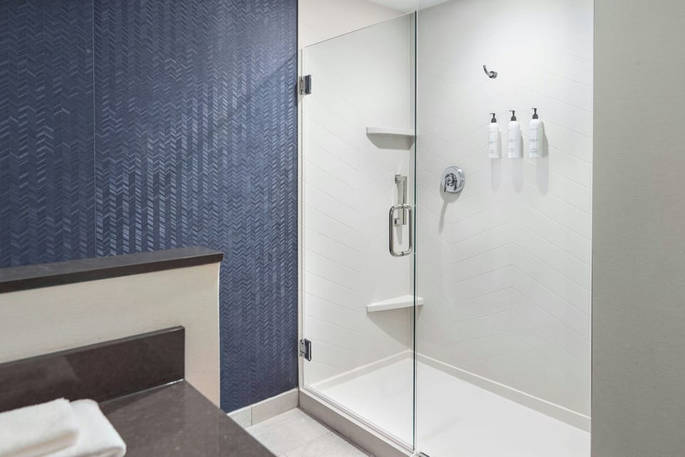 Hair dryer, towels, soap, shampoo