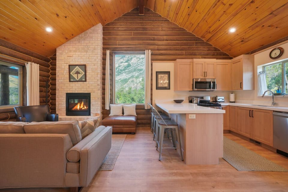 Living area and kitchen area