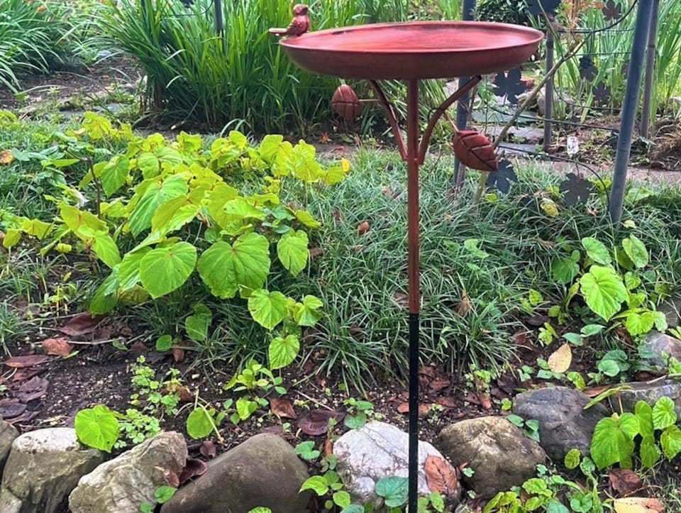 Small bird object in the garden