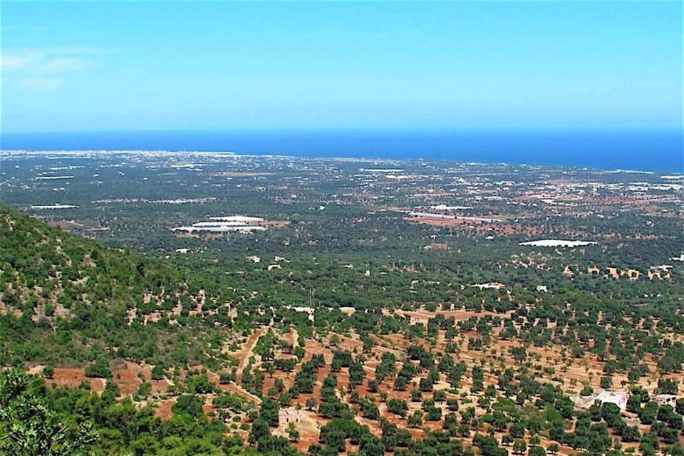 Selva di Fasano