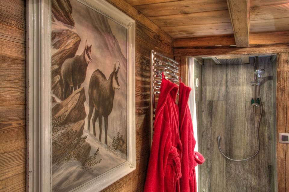 Hair dryer, bathrobes, slippers, towels