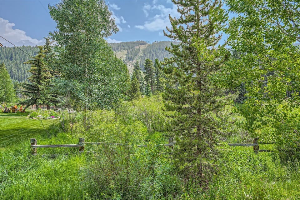 A lush, green forest scene with various trees, dense vegetation, a wooden fence, and mountains in the background under a partly cloudy sky.