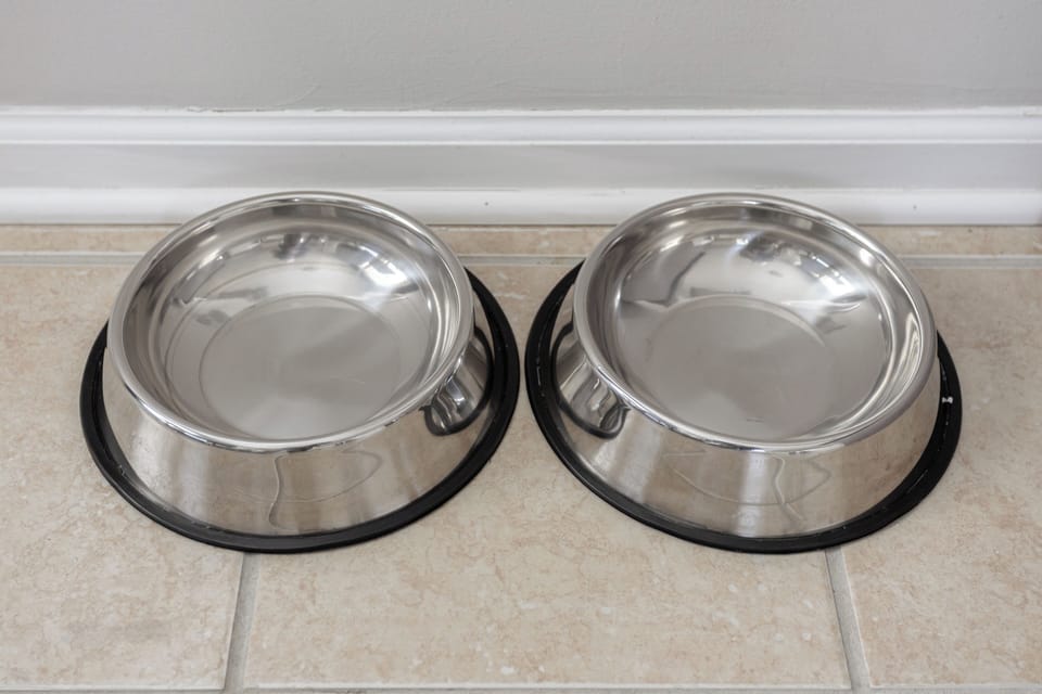 Dog bowls provided for our pup friends