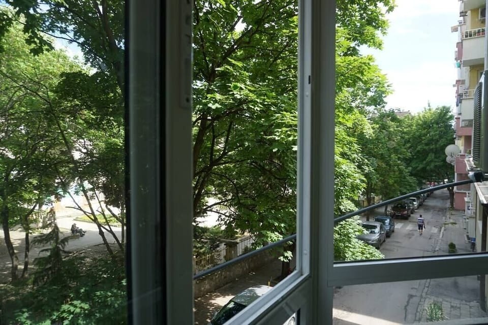 View from the window 