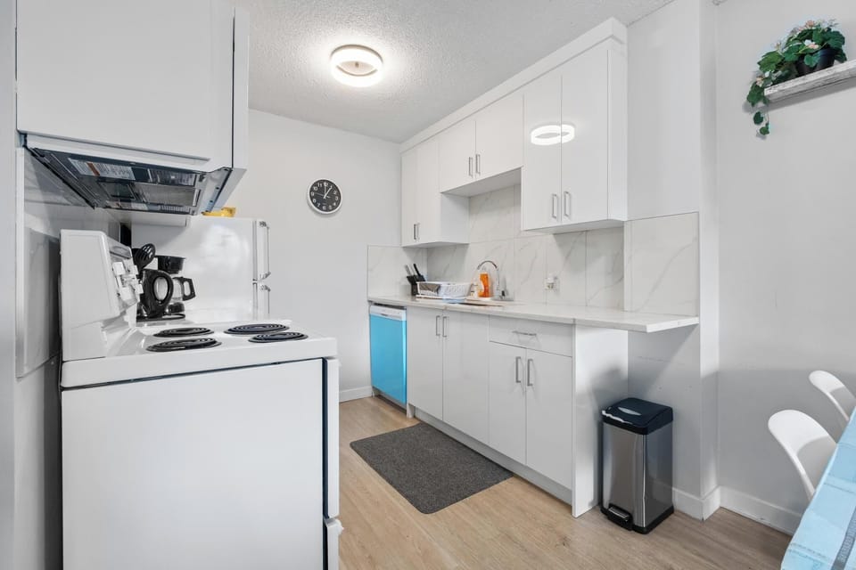Well organized apartment kitchen showcasing sleek white cabinets, a modern stove