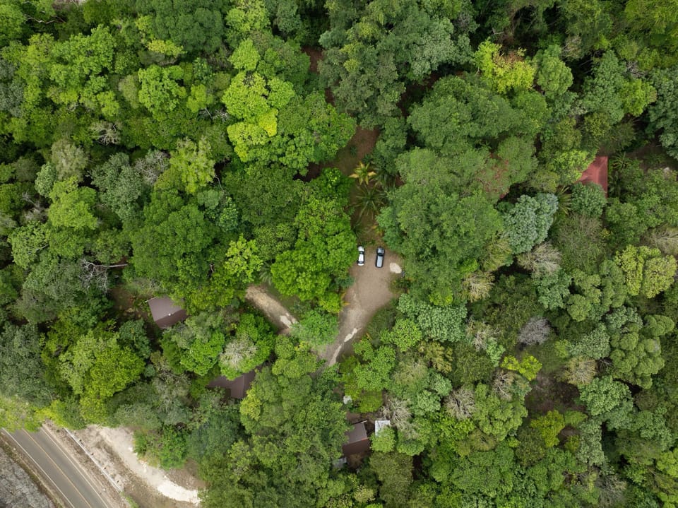 The Cabins at Monkey Fall Lodge. Close to the main highway to San Ignacio town.