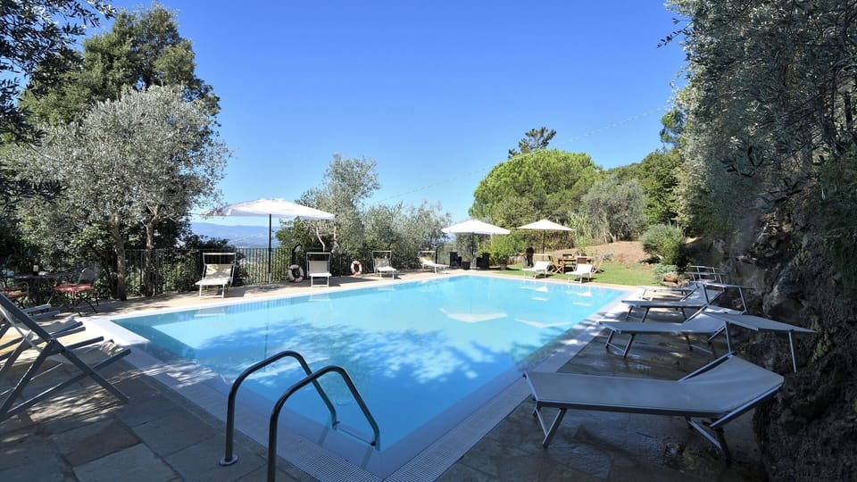 Plant, Sky, Property, Water, Swimming Pool, Table, Azure, Shade, Outdoor Furniture, Tree