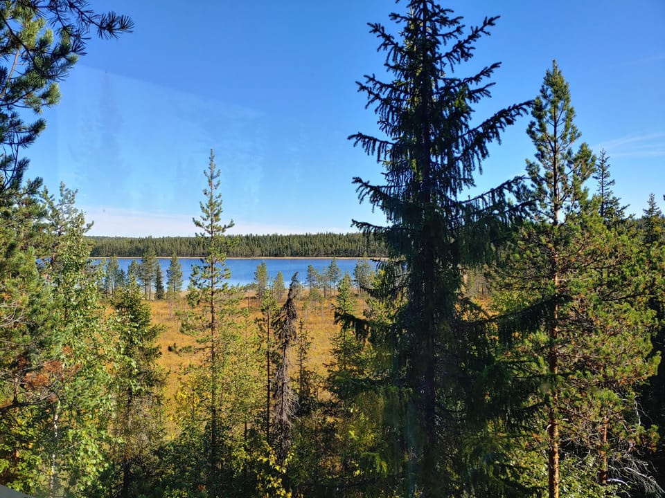 View from room