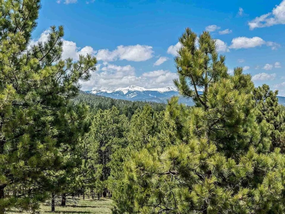 Wheeler Peak - 13,167 feet high.