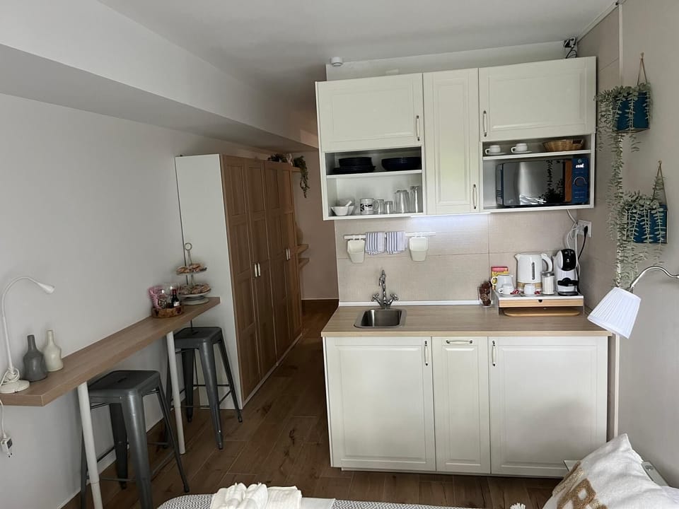 Comfort Studio | Private kitchen | Mini-fridge, microwave, stovetop, cookware/dishes/utensils