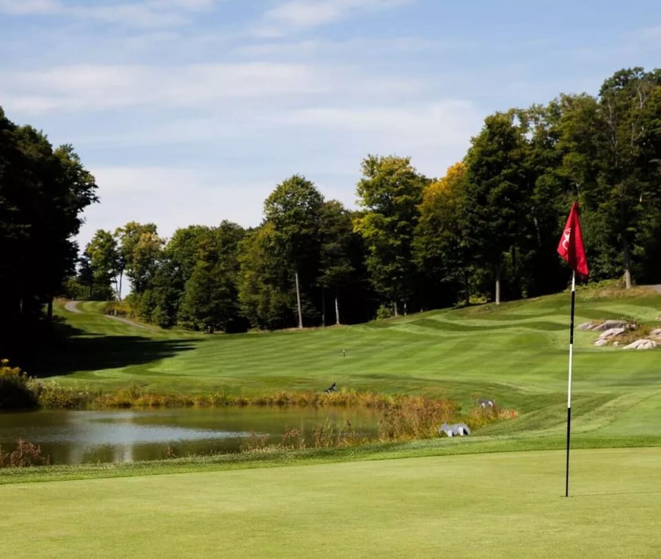 Plenty of public and private golf courses with in a short drive