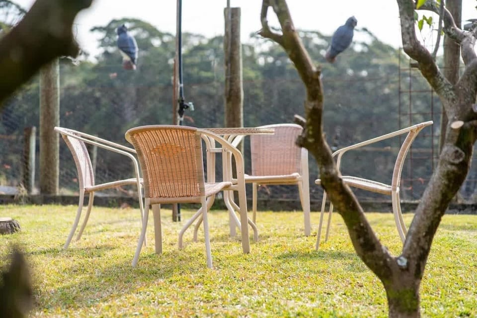 Another great space to enjoy amongst the citrus orchard