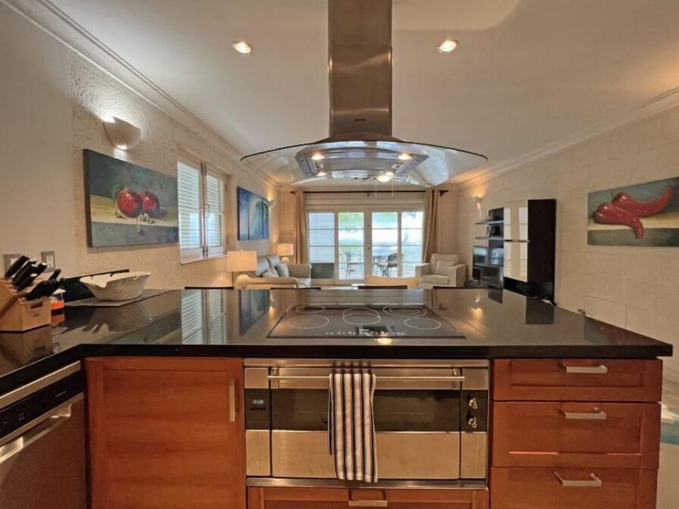Luxury Apartment, Balcony, Sea View | Private kitchen | Full-size fridge, microwave, oven, stovetop