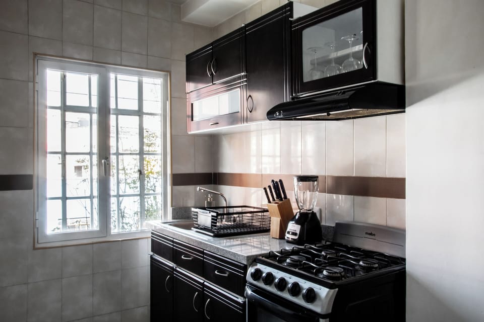 Family Apartment | Private kitchen | Fridge, microwave, oven, stovetop