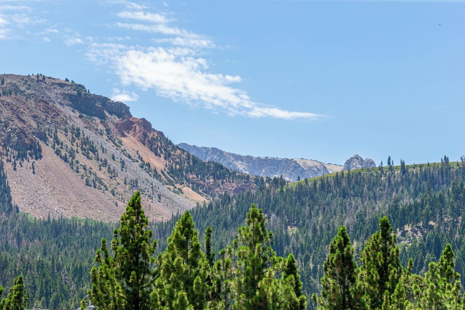 Gorgeous mountain view from living room windows.