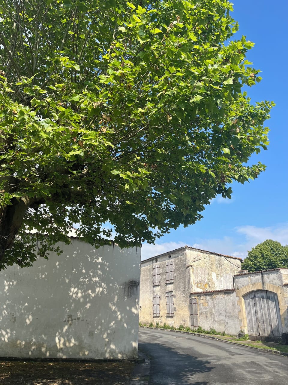 Image 31