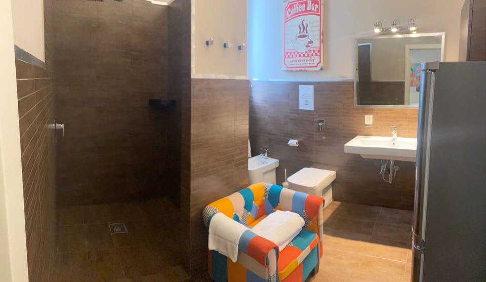Double Room | Bathroom | Shower, hair dryer, towels, soap